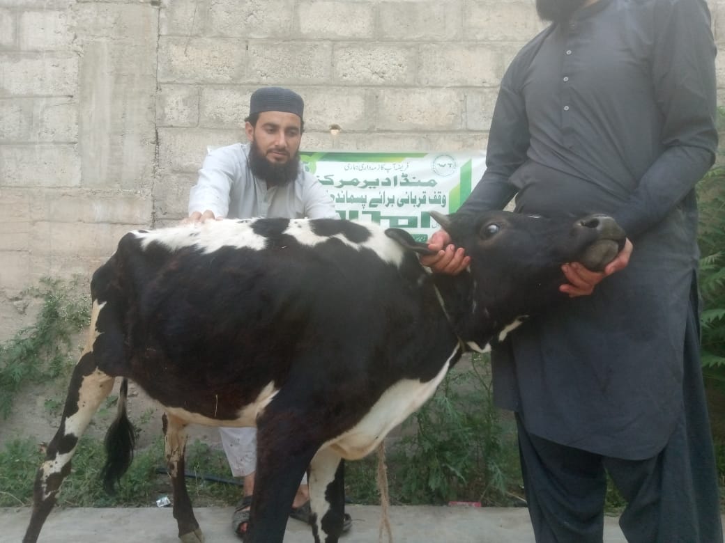 Impact Photo other-24